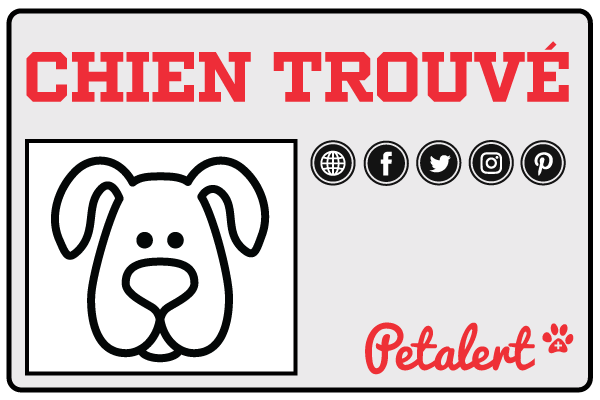 PetAlert diffuse votre avis de chien trouvé